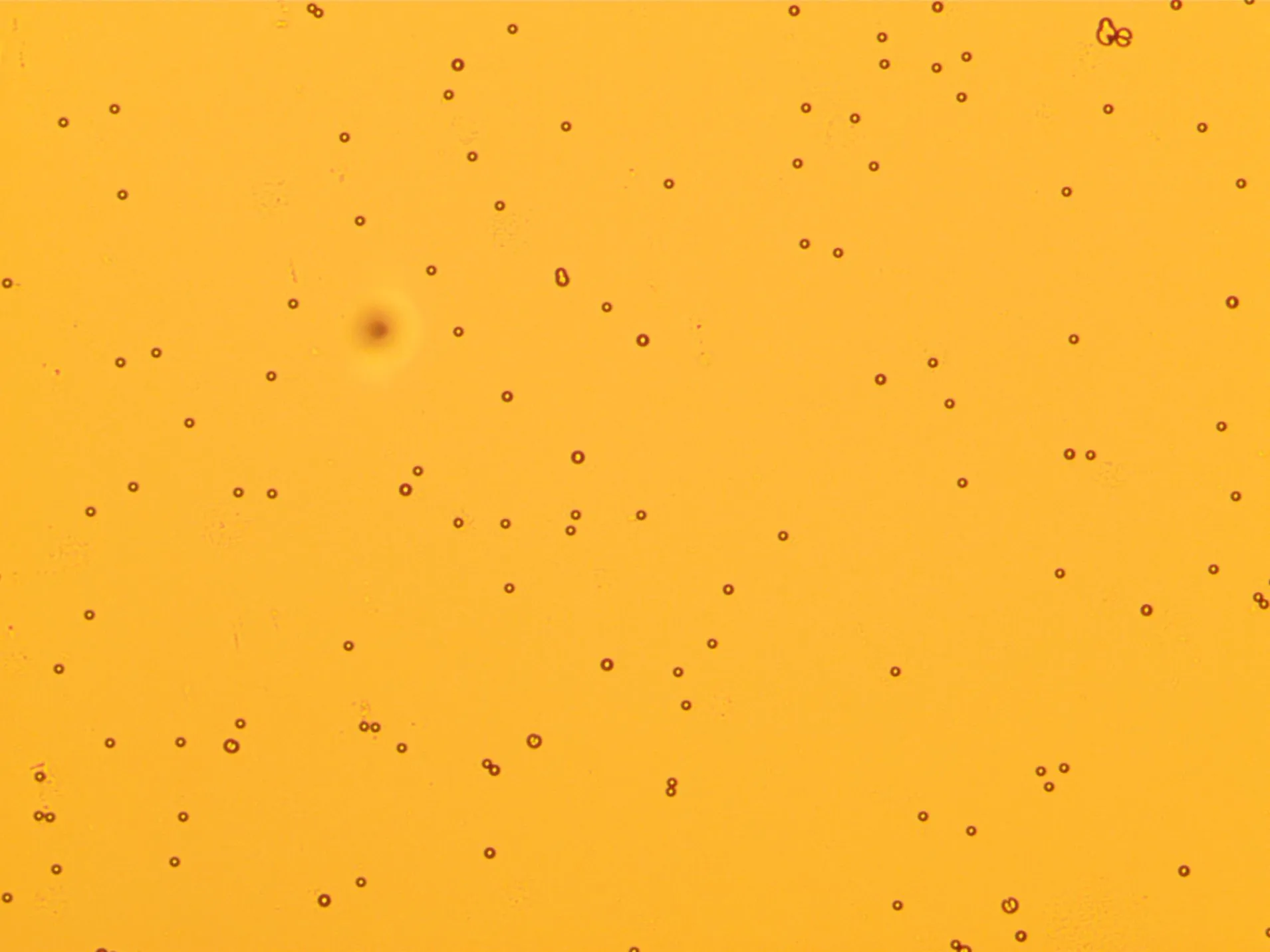 a3