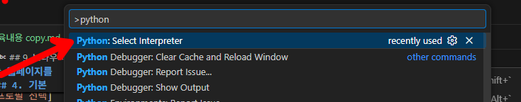 Python Select Interpreter 검색